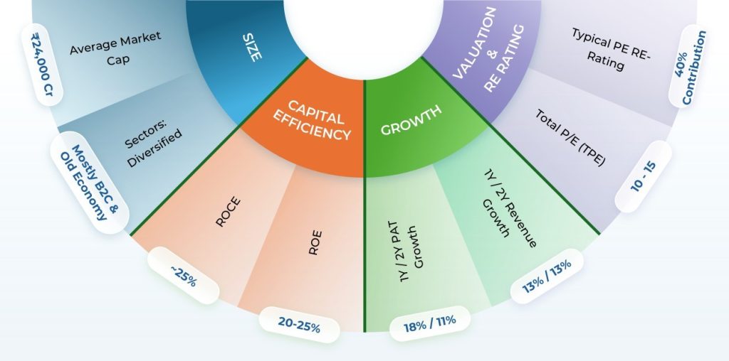 Young Everest Equity small cap long term quant fund business quality snapshot.